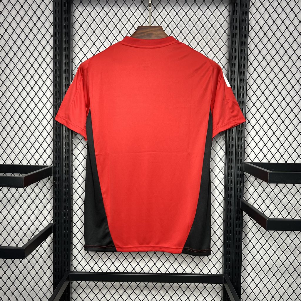Camisa Manchester United Treino 24/25